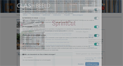 Desktop Screenshot of glasinbeeld.nl